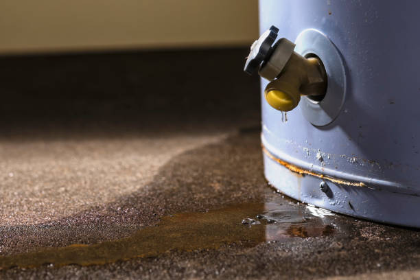 Best Basement water damage restoration  in Parker, SC