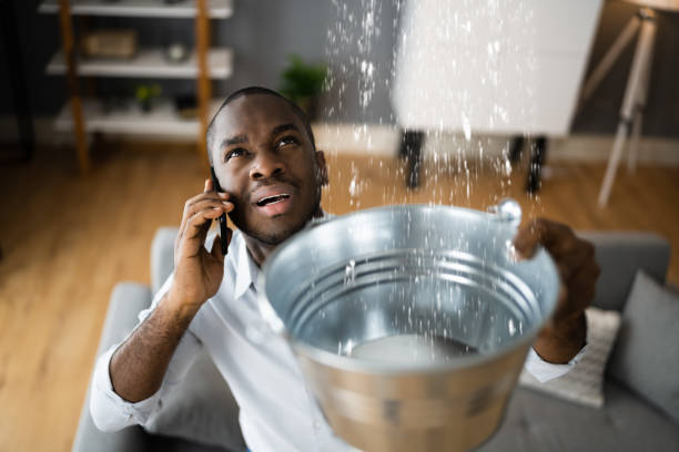 Best Water damage cleanup near me  in Parker, SC