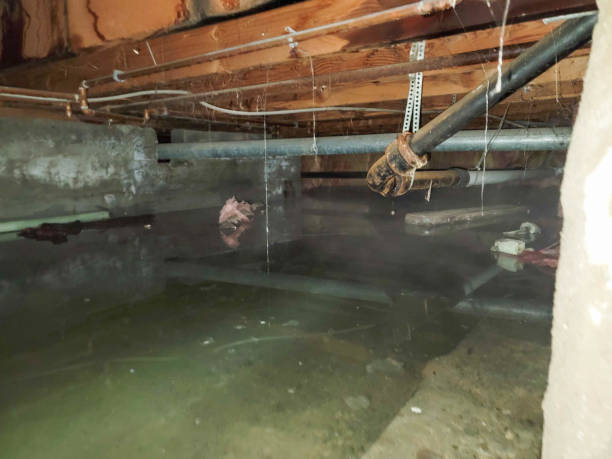 Best Emergency water extraction  in Parker, SC