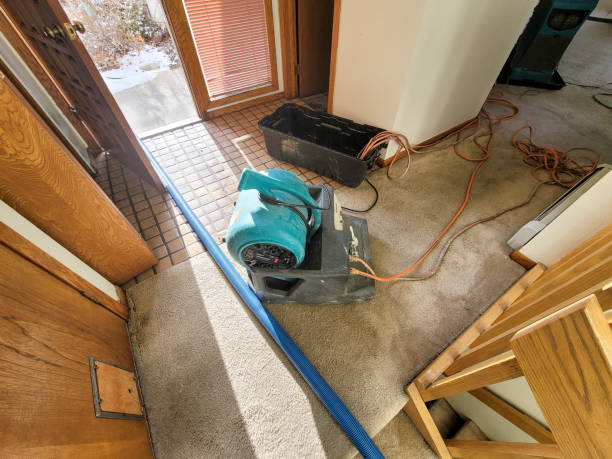 Best Flooded house restoration  in Parker, SC