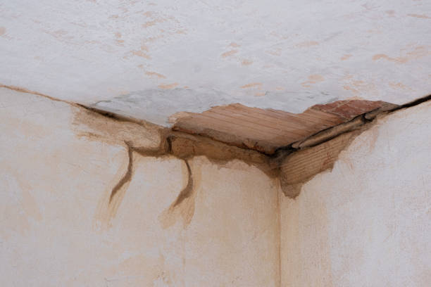 Best Water damage contractors near me  in Parker, SC