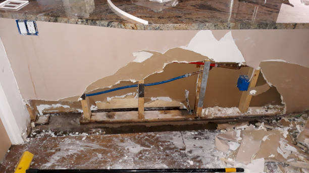 Best Carpet water damage restoration  in Parker, SC