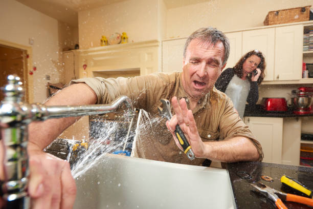 Best Fire Damage Restoration  in Parker, SC
